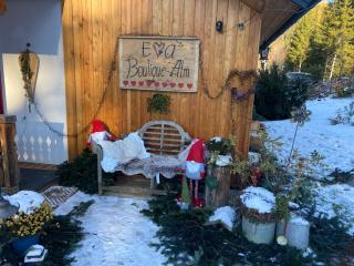 Evas Boutique Alm - - 9