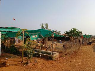 Gaushala and Cow Dung-Based Product Tourism - Bhopal - 9