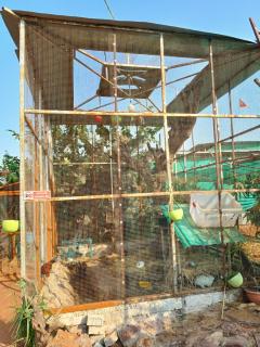 Gaushala and Cow Dung-Based Product Tourism - Bhopal - 7