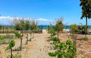 Holiday Home Astros Peloponnese With A Fireplace 09 - Koútroufa - 2