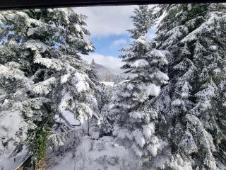 Sporty Mountain Escape Sinaia - 2