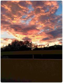 centre et plage F1 calme vue parc parking gratuit - Biarritz - 7