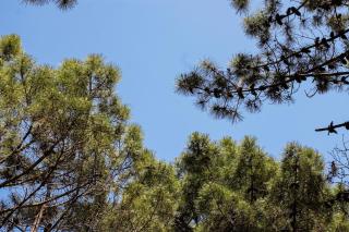 Grow - Mar de las Pampas - 0