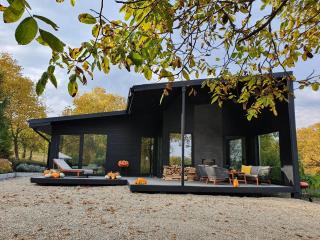 Black Walnut House with indoor outdoor fireplace - Izvoarele - 8