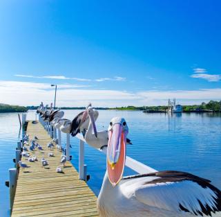 Moby Dick Waterfront Resort Motel - Yamba - 0