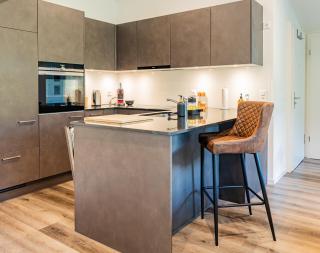 Unique Penthouse with Gallery and Mountain View - Kandersteg - 1