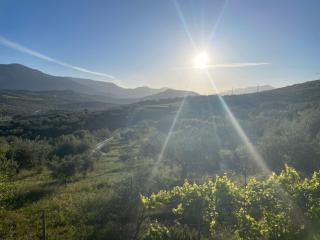 Hacienda Riogordo - 1