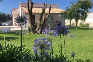 Il Giardino di Marta - Casa Vacanze - 0