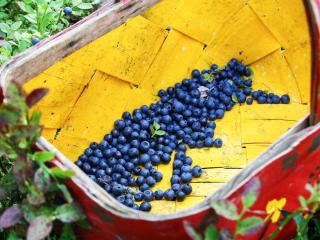 5 person holiday home in KARLSKOGA - 3