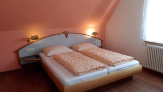 Landgasthaus waldhorn - Forbach - 7