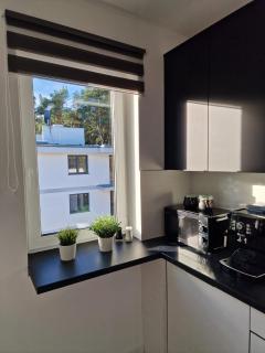 M&M Apartament Pine Tree House Zielona 3A - Międzywodzie - 5