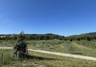 Agriturismo B&B Lombardi Bologna - San Lazzaro - La Mura - 4