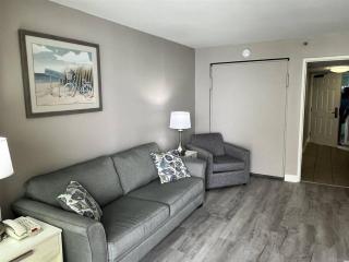WINTER RATES! Stay in Style in our Oceanview Suite, Dogs OK! 1838 - 7