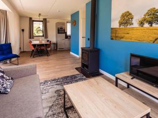 Detached holiday home on the recreational lake - Ewijk - 2