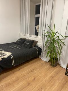 Apartmán Tržnice - Olomouc - 8