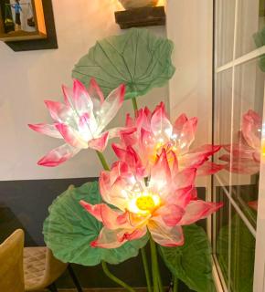 Hotel Wesselényi - 5