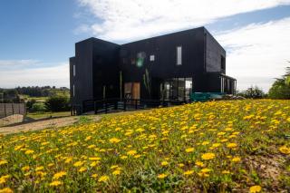 Casa Alma - Punta de Lobos - Pichilemu - 2