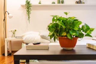 Polanco Studio Bliss Cozy and Modern - Città del Messico - 1