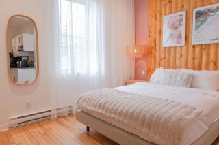 #4 - Quaint Studio - Self Check in - Plateau - St-Denis - AC - TV - Montreal - 6