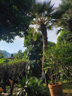 Casa limon Malinalco - Malinalco - 7
