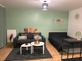 Appartement Cosy au Stade de France Proche Paris - 4