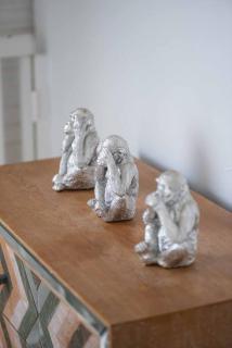 Superbe studio avec jacuzzi - 8