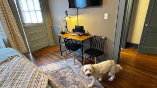 Newly Renovated! Lux 2-King Suite with Winter Deals! - Charlotte - 7