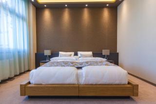 Plaza Hotel Winterthur - Winterthur - 9