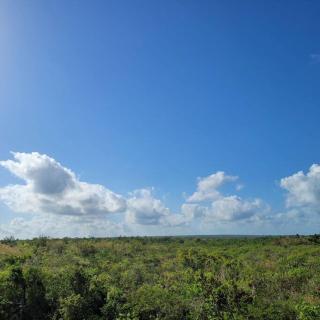 Vibe Gorgeous one bedroom apartment view beach - La Laguna - 2