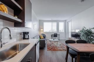 TWO Luxe CozySuites in Downtown Cincinnati - Cincinnati - 5