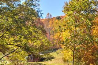Deer Haven by AvantStay Cabin w Pond Waterfall - Saluda - 3