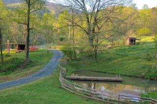 Deer Haven by AvantStay Cabin w Pond Waterfall - Saluda - 2