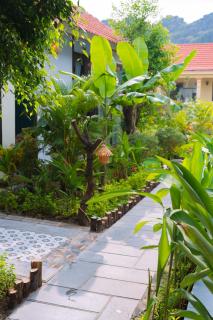 Hang Mua Green Retreat - 7