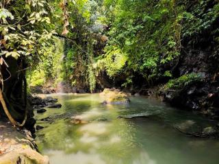 Superior One Bedroom Apartment w Stunning Waterfall View - Ubud - 2