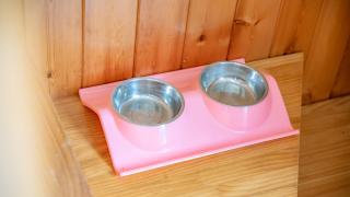 Chuncheon Namiseom pet friendly Pension - Chuncheon - 8