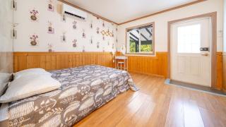 Chuncheon Namiseom pet friendly Pension - Chuncheon - 5