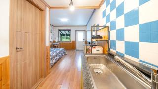 Chuncheon Namiseom pet friendly Pension - Chuncheon - 3
