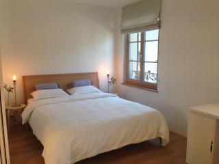 Carouge Loft Apartment - Geneva - 4