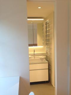 Carouge Loft Apartment - Geneva - 5