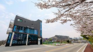 Donghae Hill Stay Pension - Donghae - 3