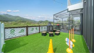 Gapyeong Dangdangi Pet Poolvilla Blue - Gapyeong - 8
