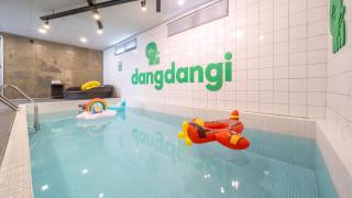 Gapyeong Dangdangi Pet Poolvilla Blue - Gapyeong - 9