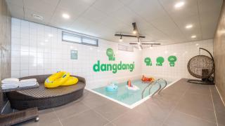 Gapyeong Dangdangi Pet Poolvilla Blue - Gapyeong - 2