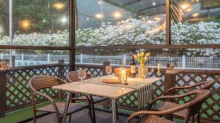 Gapyeong Dangdangi Pet Poolvilla Blue - 7