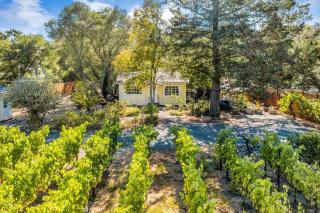 Grapevine Cottage by AvantStay Hobby Vineyard Firepit - 7