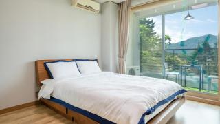 Gapyeong Yeonkkocchosu Pet Pension - Gapyeong - 9