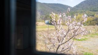 Gyeongju Jayeon Pension - 7