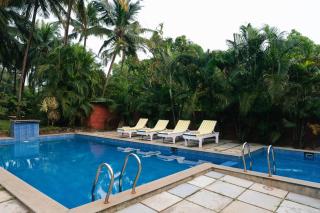 AM Hotel Kollection- Ivy, Morjim - 8
