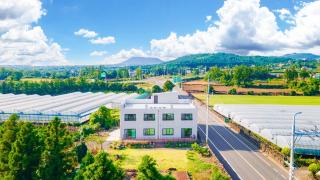 Jeju ChunJaNe Pension - Seogwipo - 0