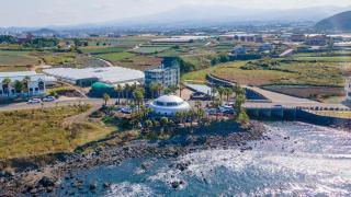 Jeju UFO Pension - 1